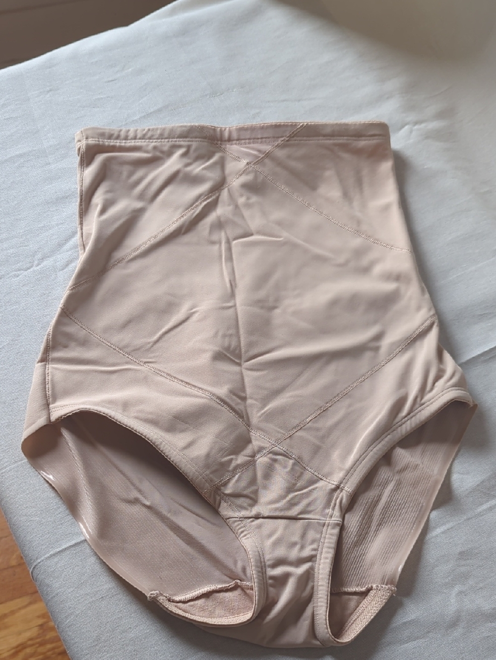 Miraclesuit Nude Shaping Briefs